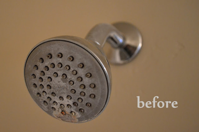 Shower Head Before Cleaning