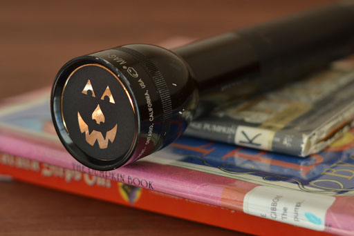 Read Halloween Themed Books by Flashlight