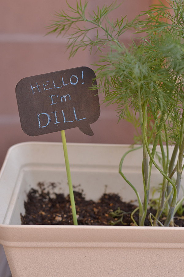 Add the Garden Markers to Your Garden