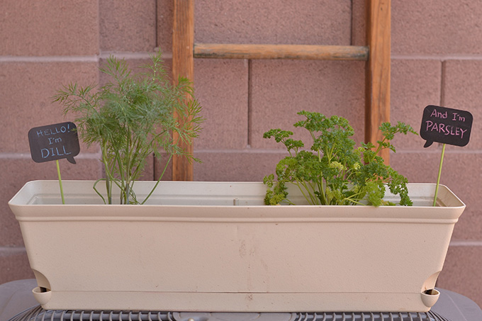 How to Make DIY Plant Markers