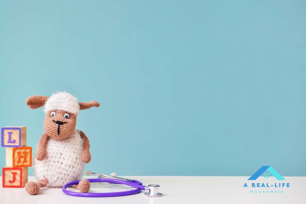 Can You Wash Beanie Babies in the Washing Machine? A Real Life Housewife